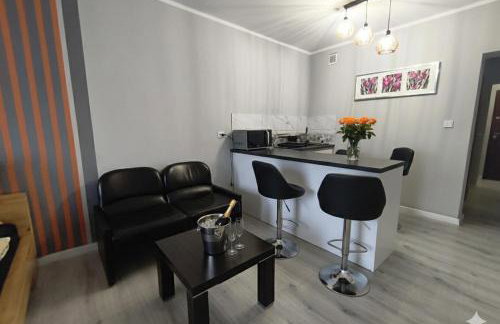 WRN APARTAMENTY - Foto 6