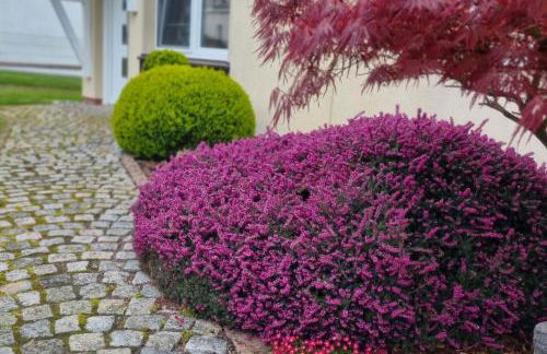 Ferienglück am See - ABC288 - nur Feriengäste! - Foto 16