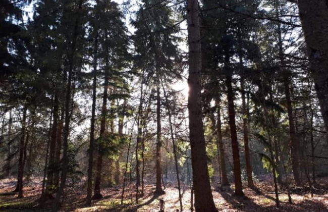 Cozy Holiday Home in a Lovely Environment - Photo 26