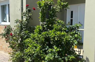 Gaia cottage with garden - Photo 28