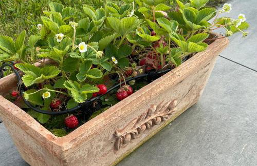 Chez L'Aviateur - Foto 30