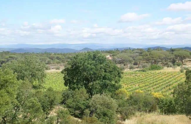 Villa in Vidauban With Pool & Vineyards Nearby - Foto 40