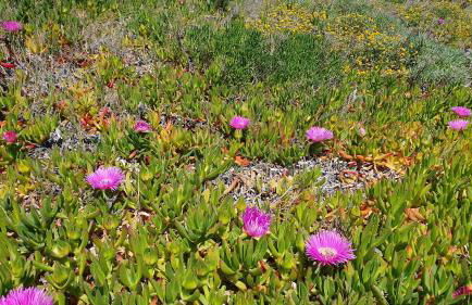 Agriturismo Corte Degli Ulivi - Foto 100