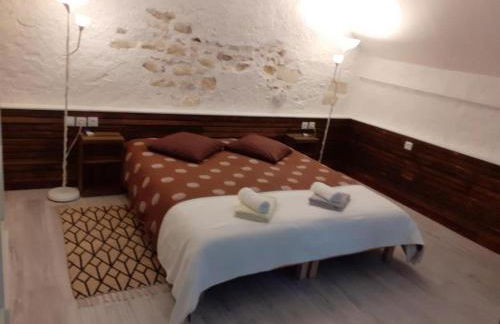 Gîte de charme proche du ZooParc de Beauval - 2 terrasses, jardin, cheminée, clim, parking gratuit - FR-1-491-408 - Foto 15