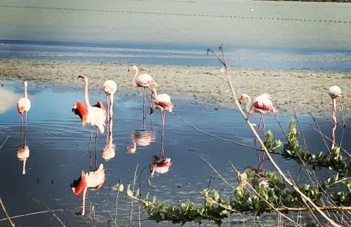 Poetto Casa Bach Ck - Foto 34