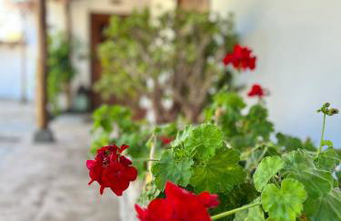 La Paredita Casa Taoro - Foto 26