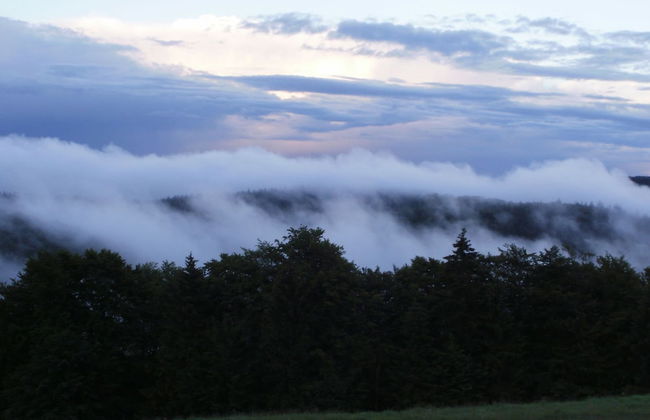 Fantastic Apartment in Frauenwald near Forest - Foto 48