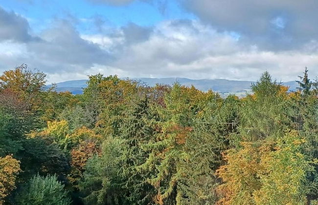 Small Apartment in Hesse With Terrace and Garden - Foto 36