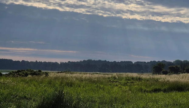 4 Person Holiday Home in Jaegerspris - Foto 4, Miscelánea