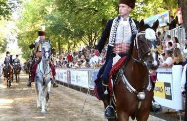 New Charming Apartment Ivana - centrally located - Foto 16