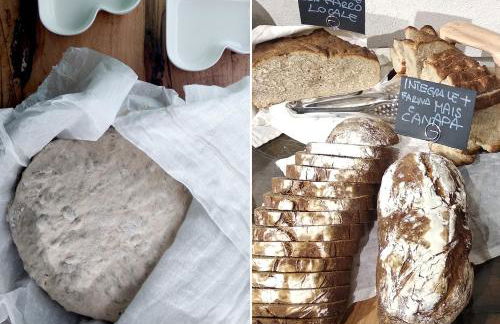 agriturismo farmhouse la barberina - Foto 25