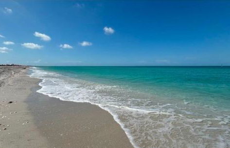 Blue Paradise - Foto 62