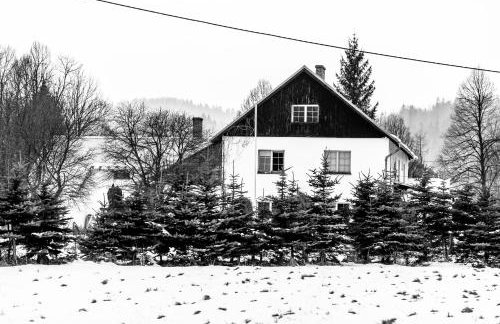 Agroturystyka OdważnyTeam - Foto 17