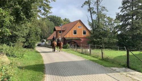 Wassermühle Habighorst - Foto 2