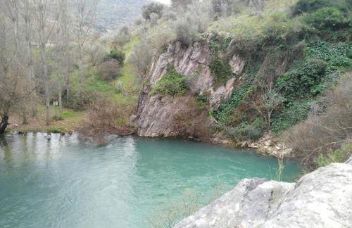 Casa Rural las Rosas de Benaojan - Photo 71