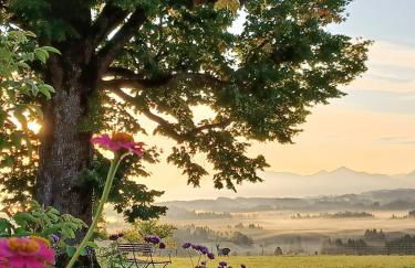 Ferien beim Baur - Foto 33