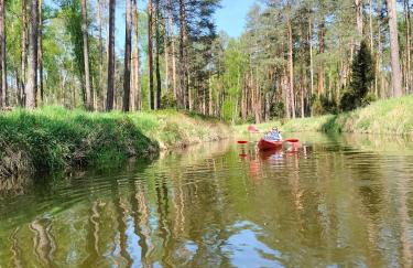 Leśna Chata kuracyjna nad rzeką z sauną w Borach Tucholskich - Foto 59