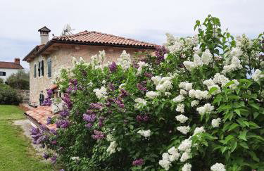 Villa Vicenca - Foto 4