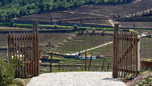 Quinta dos Padrinhos - Suites in the Heart of the Douro - Foto 3