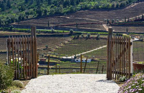 Quinta dos Padrinhos - Suites in the Heart of the Douro - Foto 3