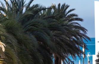 Apartamento a 50 metros de la playa, Luminoso y acogedor - Photo 28