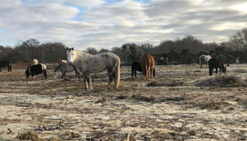 The Boat House - Foto 4