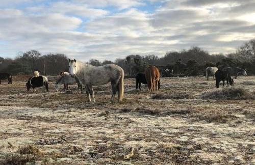 The Boat House - Foto 4