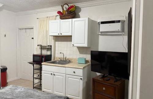 My Garden in Miami Florida - Photo 12