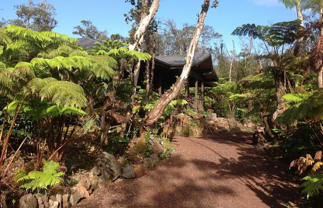 Volcano Rainforest Lodge - Foto 49