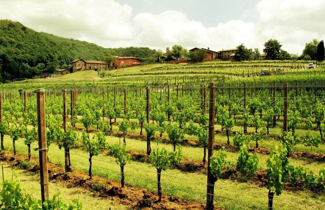 L'Uva e le stelle - Foto 41