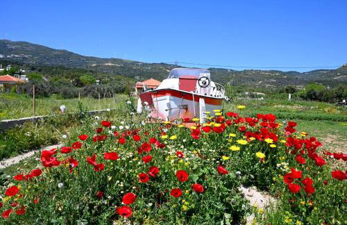 Old Villa Ormos - Photo 34