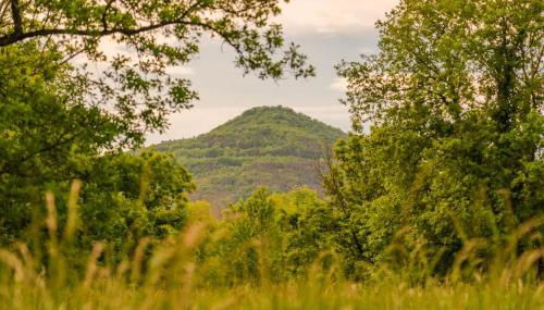 Bois aux Cheirilles - 15min Murol - Puy de Dome - Foto 5