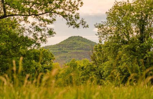 Bois aux Cheirilles - 15min Murol - Puy de Dome - Foto 5