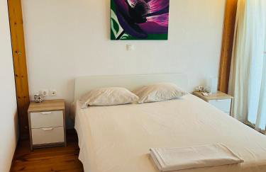 M.J.P. House - Foto 2