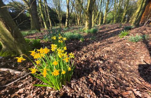 Lighthouse Lodge - Dog Friendly Nr Sutton on Sea - Photo 35