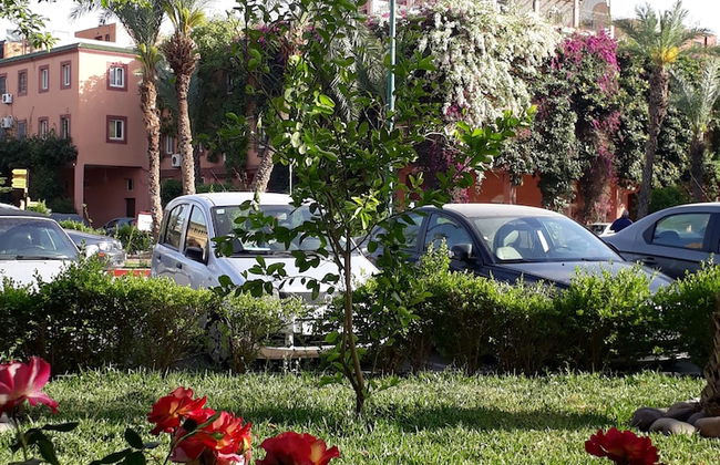 Riad Beni Youssef - Photo 48