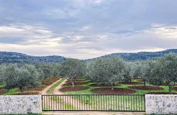 Robinson house Orkula in the heart of olive's yard - Foto 3