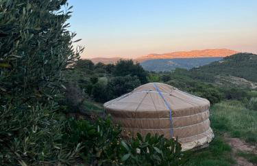 Yourte Mongole Insolite - Gîte Saint Roch - Foto 21