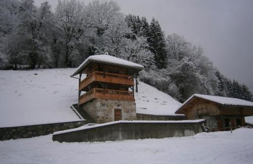 Mazot de Joe avec son hammam entre la Clusaz et Annecy - Foto 17