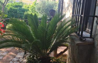 La casita encantada - Foto 7