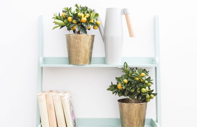 CHILL Apartments - Photo 13