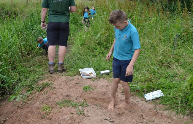 Mongolian Yurts Fordhall Organic Farm - Photo 29