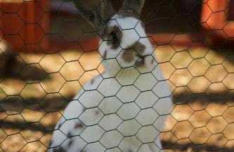Ferienwohnung Peters - Photo 68