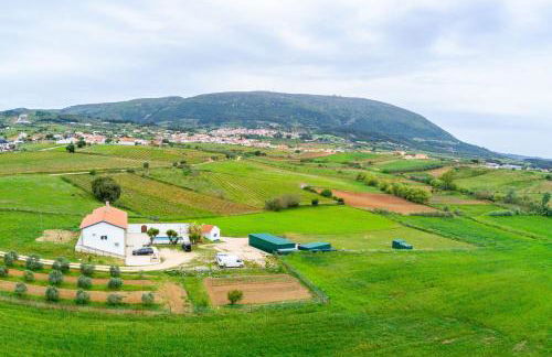 Quinta do Selão - Foto 29