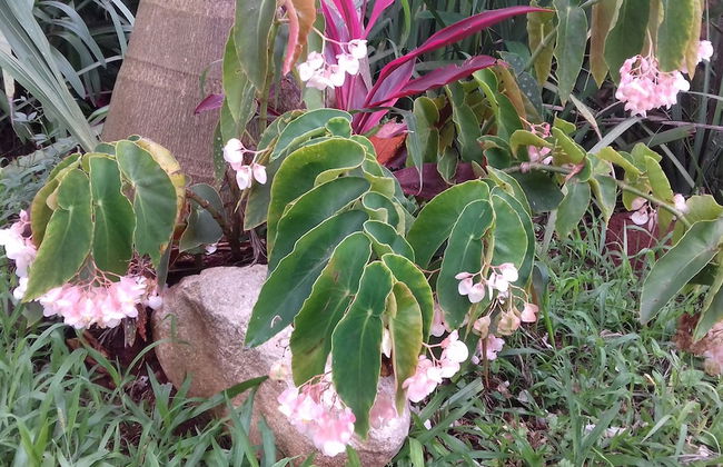 Room-ñau Father for 3 People - Foto 40