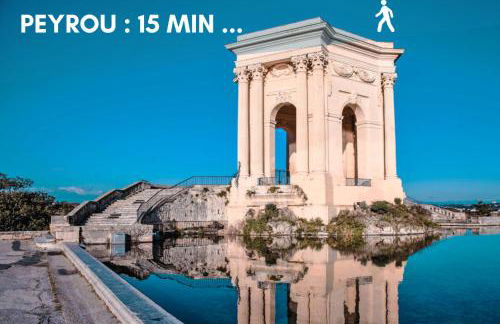 NOUVEAU - Jungle Montpeul - Clim - Wifi fibre - Netflix - 5' du centre et gare - Parking - Loggia - 15' des plages - Foto 27