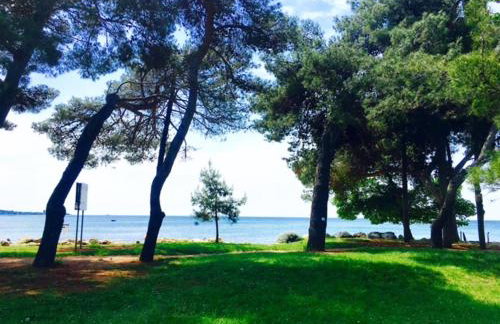 APARTMANI NIEL - Photo 53