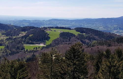 Ferienwohnung 32 im Ferienland Sonnenwald - Bayerischer Wald - Foto 23