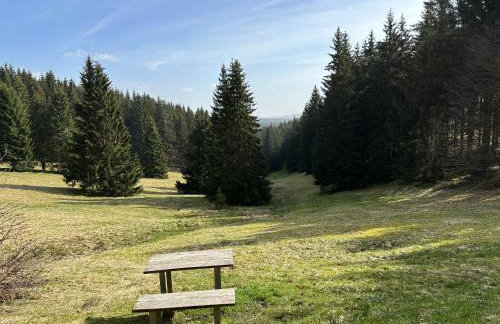 Apartment 1 - Schmiedefeld - klein und fein - Foto 31