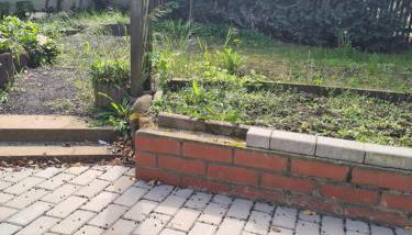 Apartment Ferienwohnung Monteurwohnung Ecke - Foto 3, Garden